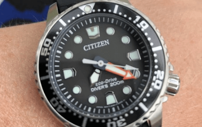 Citizen Promaster Diver watch