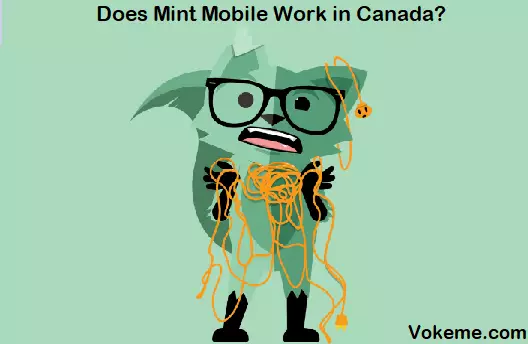 Mint Mobile Work in Canada