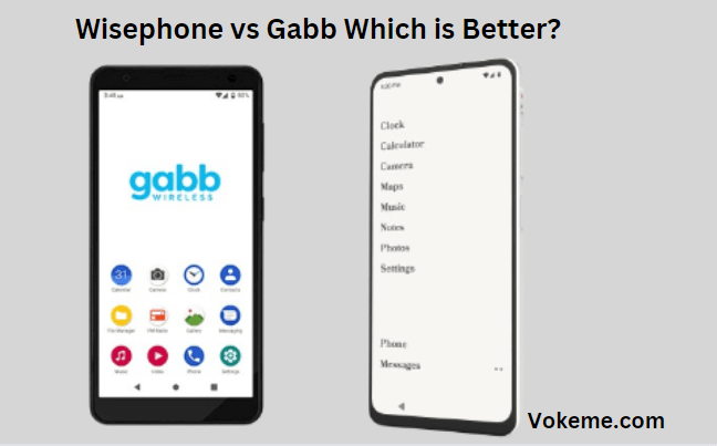 Wisephone vs Gabb Which is Better